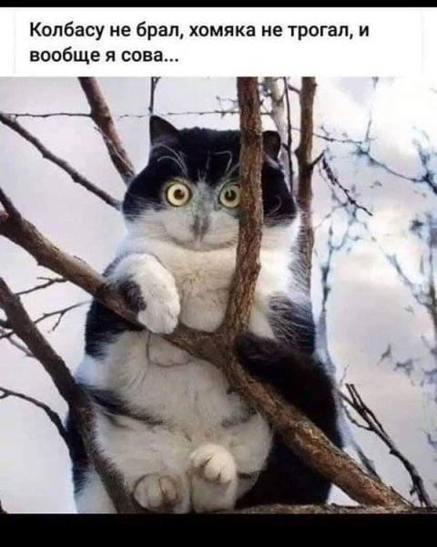 FB IMG 1594392788359