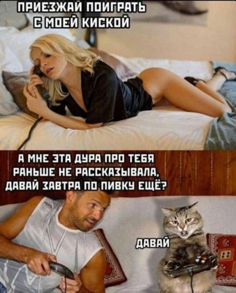 54d566d4ab samyj-chernyj-jumor-v-memah-2