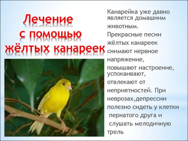 Это интересно