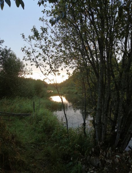 picture_397139084