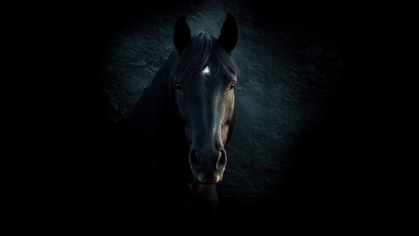 На рабочий стол Новая папка (4) 00014