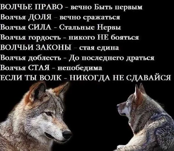 Никогда не сдавайся