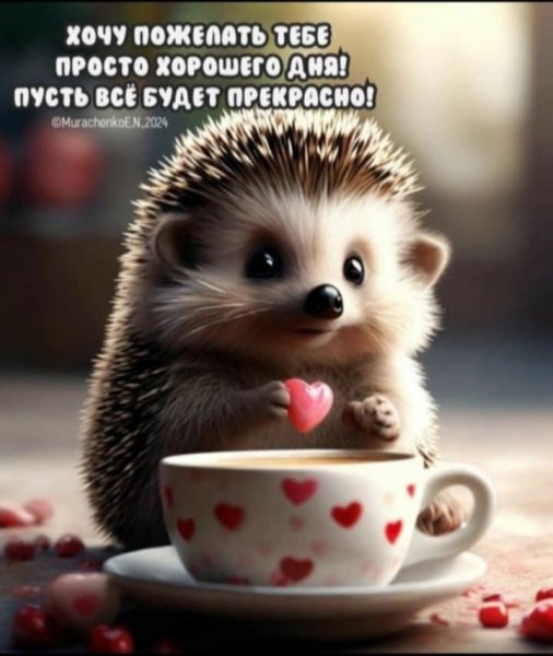 8a2656122a84ca4c54569d2aafa761ac