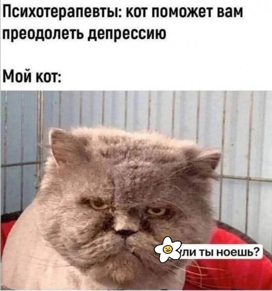 Не ной )