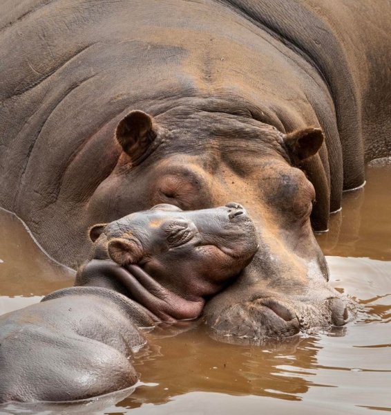 Ca6a2912ff795efe30f9d5ae9eea9031