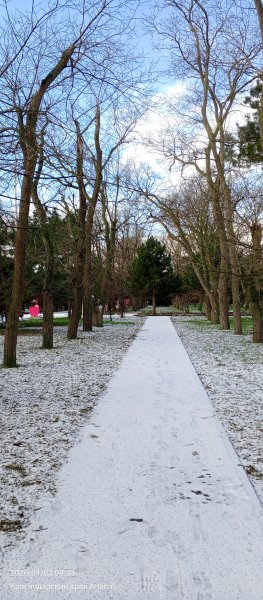 Анапа. Сквер Гудовича. 2 января 2026 г.