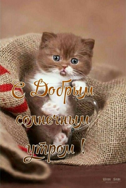 d92331984d9714510f56e98e