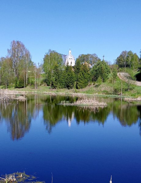 picture_397444772