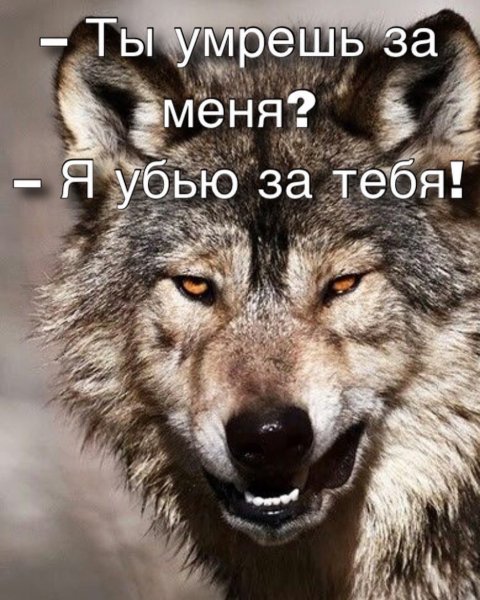 IMG 20200628 004823