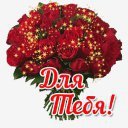 розы