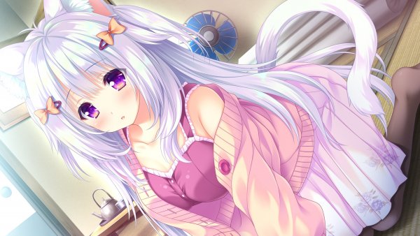 Konachan.com - 310154 animal ears catgirl game cg hotaka aya