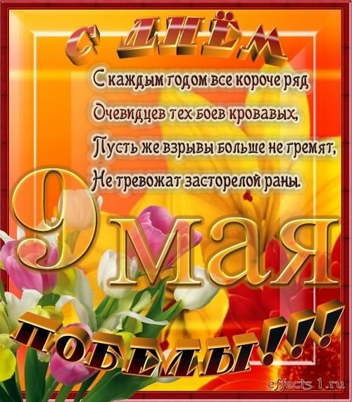den pobedy 3-500