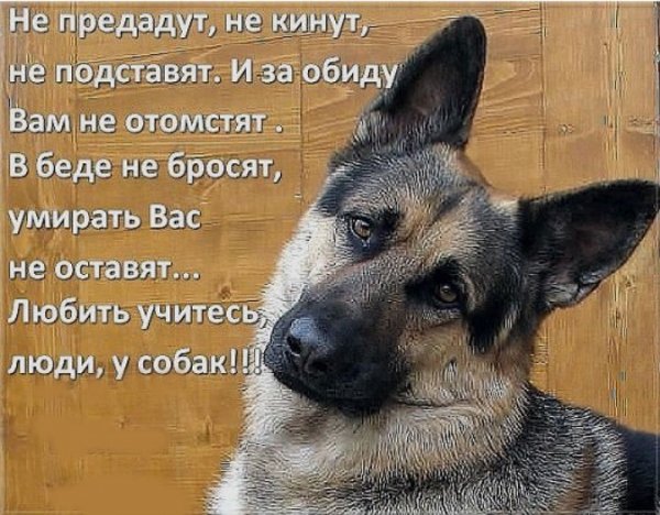 IMG 20150907 193925 8