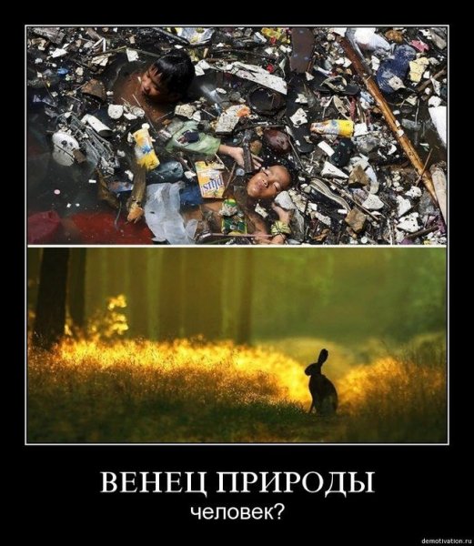 Венок-венец