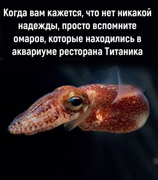 IMG 20220331 233221