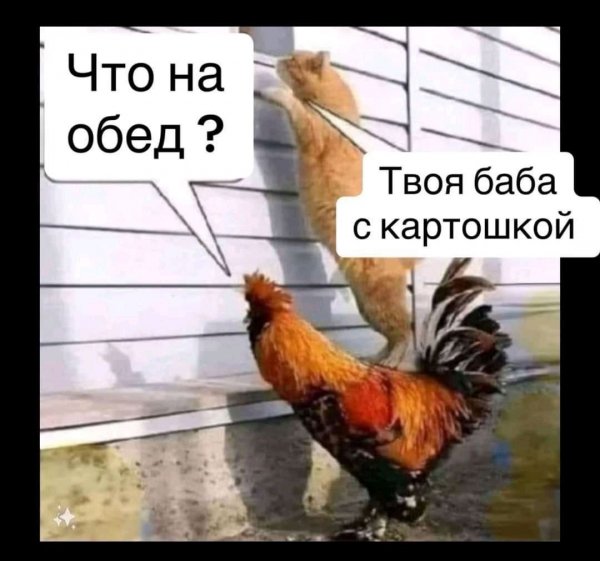 IMG 20260422 143657 995