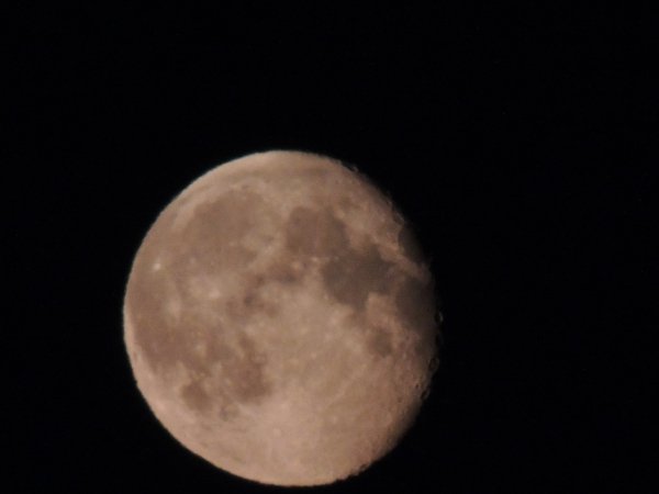 DSCN2079