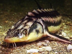 picture_96903565