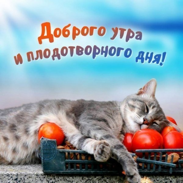 Доброго и плодотворного