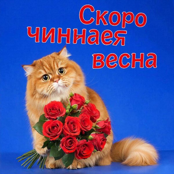 Скоро начинается весна