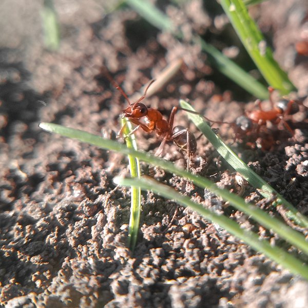 IMG 20250403 155607 1