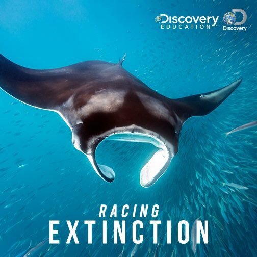 "Racing Extinction"