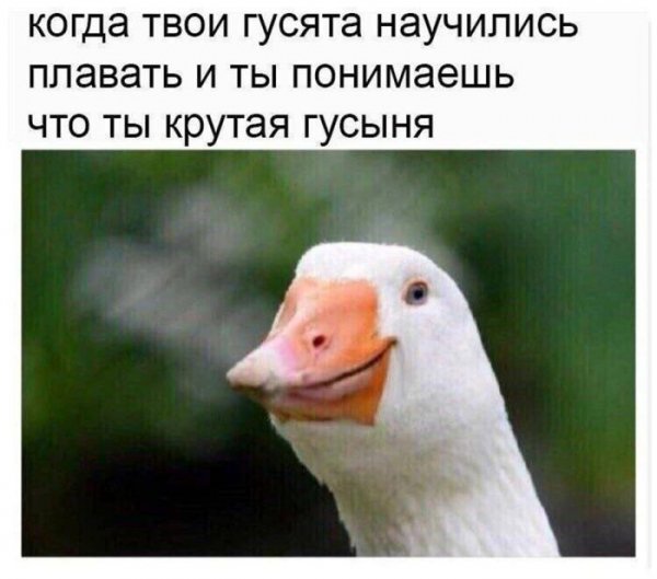Dc9a72d1dd 1762321229