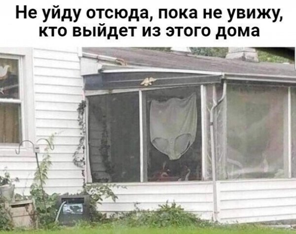IMG 20230402 021233