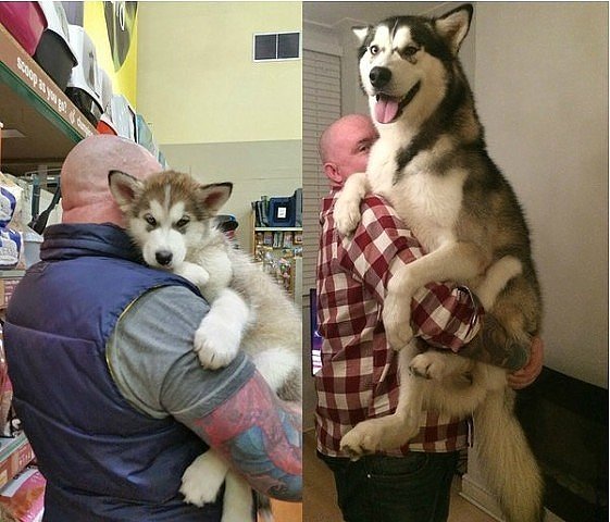 image Год прошёл...