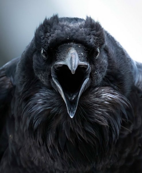 WhIEFi1tfhXQZFXDxilwIT6wyxFgZQ TxstXuXAvJls1s6mWbrR890NSV