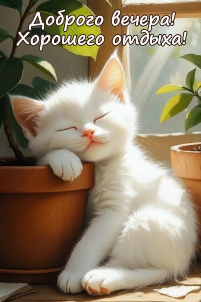 C88237c7093e065d41491b16e88d5825