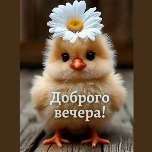 c4e1d5858347c85f9aca343c40ec2