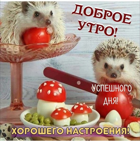 C22d9195d50d65dc7079f109cd6d5ff7