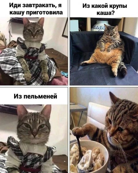 Опаньки!