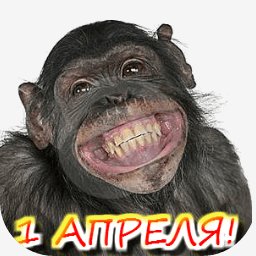 getImage(461)