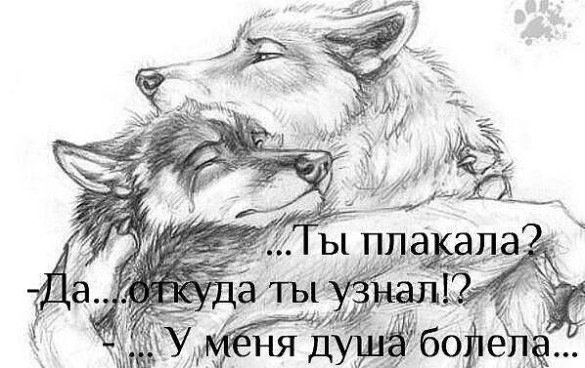 getImage photoId546524664249ampphotoType