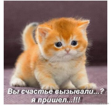 Я пришёл!!!