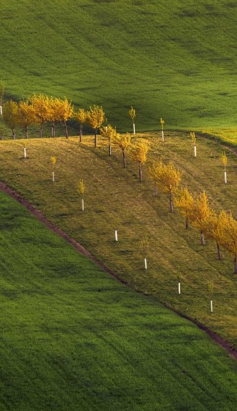 Screenshot 20260326-141827 One UI Home