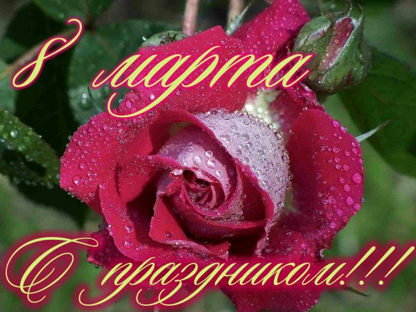 8 марта
