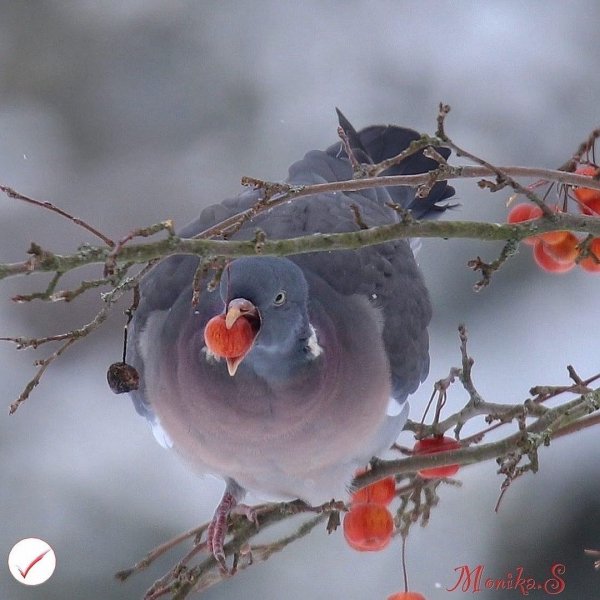 18-50-45-148488012 1641678022684945 2548482183700897357 n