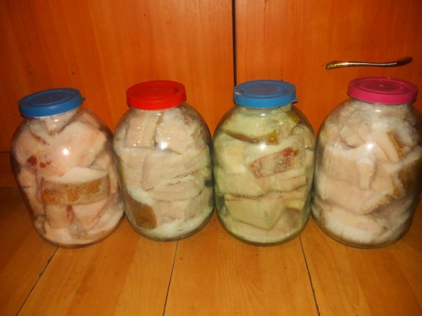 IMG 20251103 115229 056