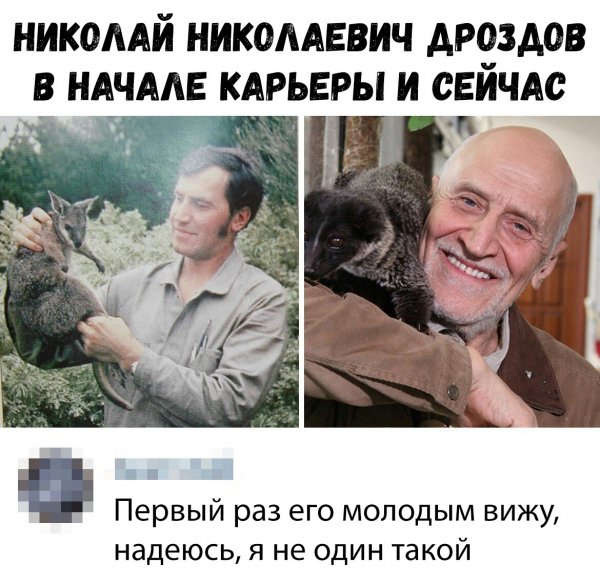 дроздов