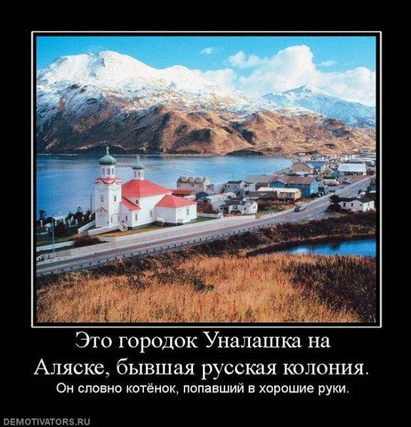 Demotivator (37)