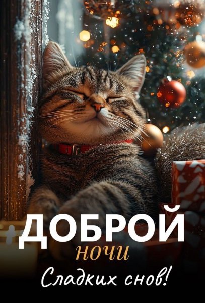 Всем вам!