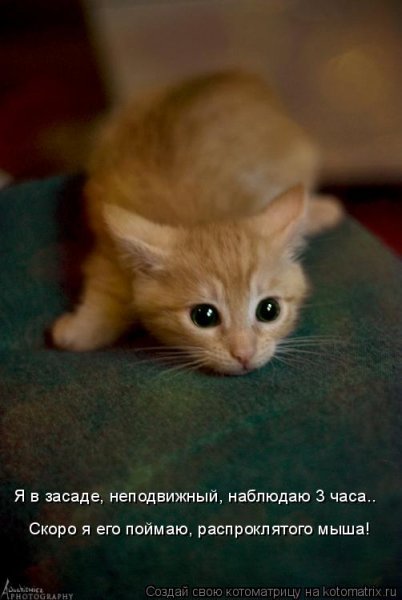 fdc2dd9f2fe353f3409e853e384