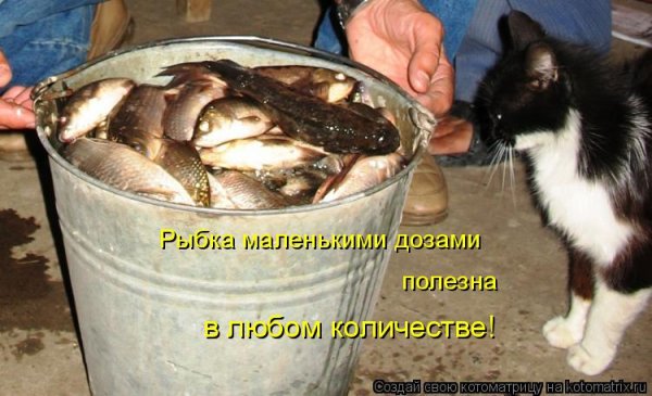 В любом количестве!