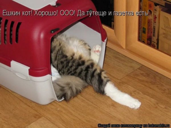 И газета есть!