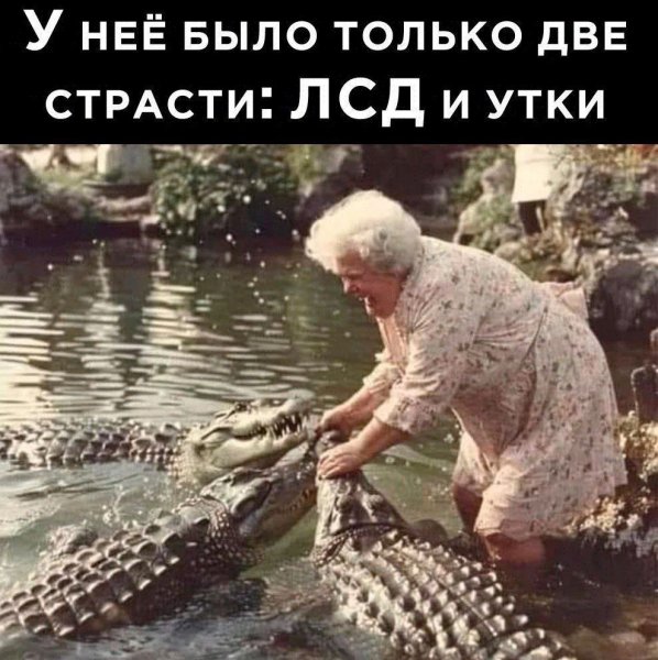 IMG 20241127 155918 676