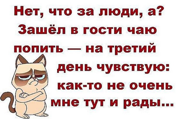 Bronk-club-p-pozdravleniya-cheloveku-s-chuvstvom-yumora-66