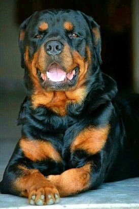 Одноклассники (1)